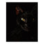 |14:193#Black;200007763:201336100|14:193#Black;200007763:203287806|14:193#Black;200007763:201336106|14:193#Black;200007763:201336104|14:193#Black;200007763:201336099|14:193#Black;200007763:201336342|14:193#Black;200007763:203054829|14:193#Black;200007763:203124903