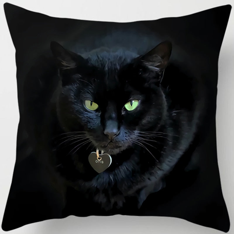 Black Cat Pillow - Cute / 40x40cm
