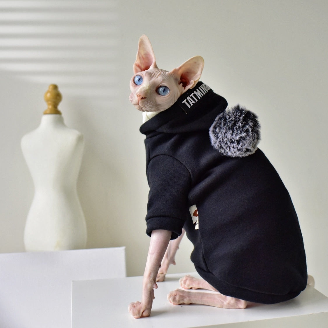 Black Clothes for Cats - Clothes for cats