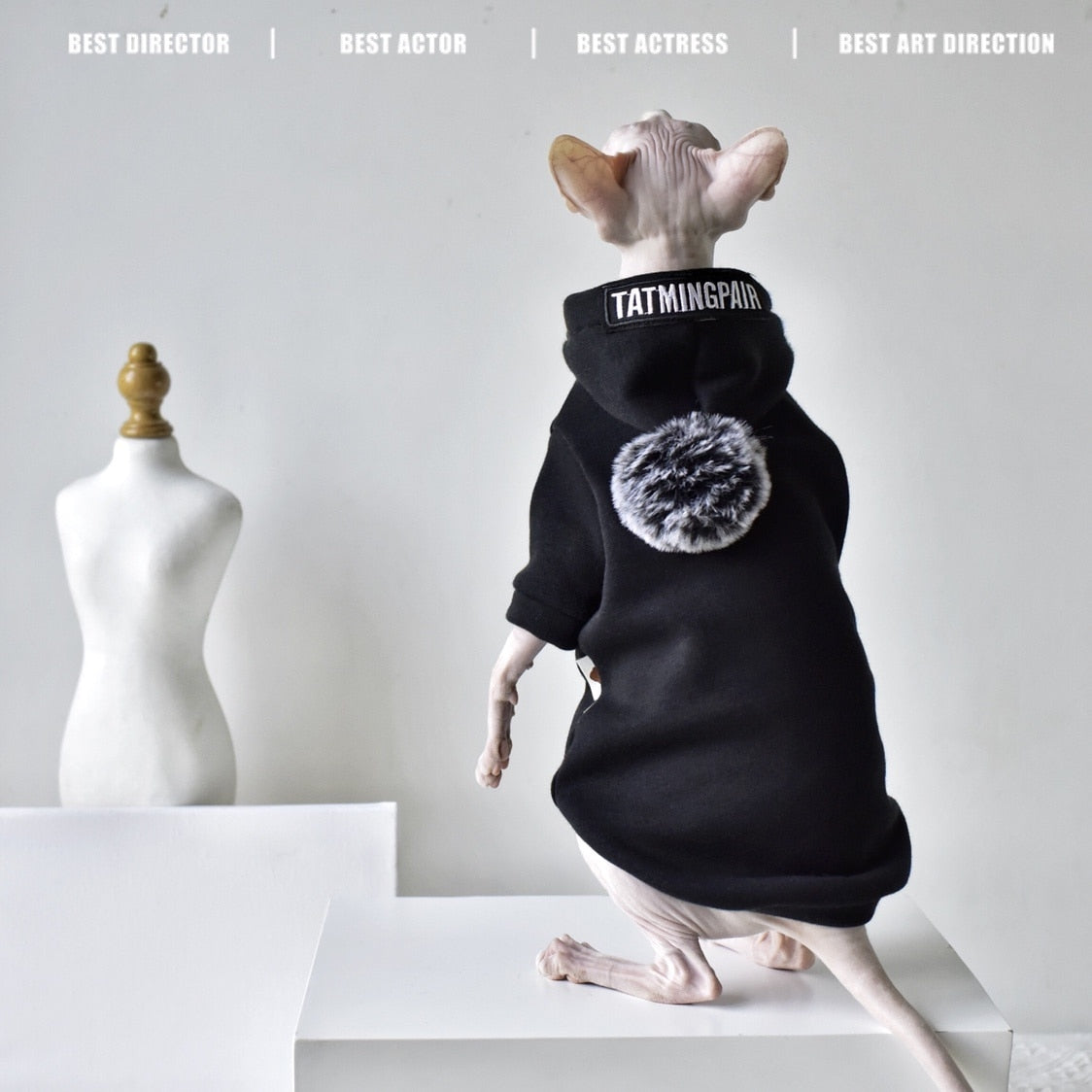 Black Clothes for Cats - Clothes for cats