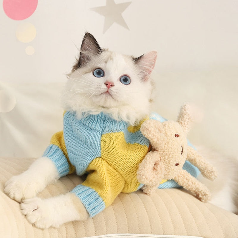 Blue Clothes for Cats - Clothes for cats