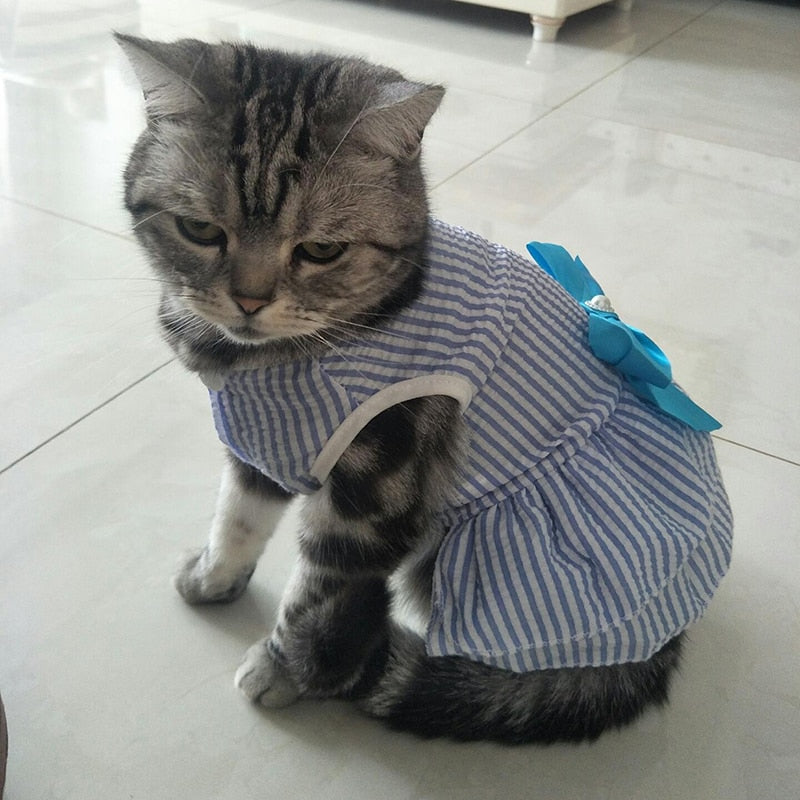 Bow Cat Dress