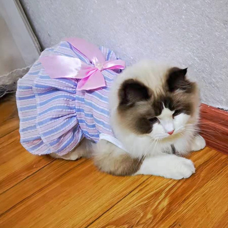Bow Cat Dress