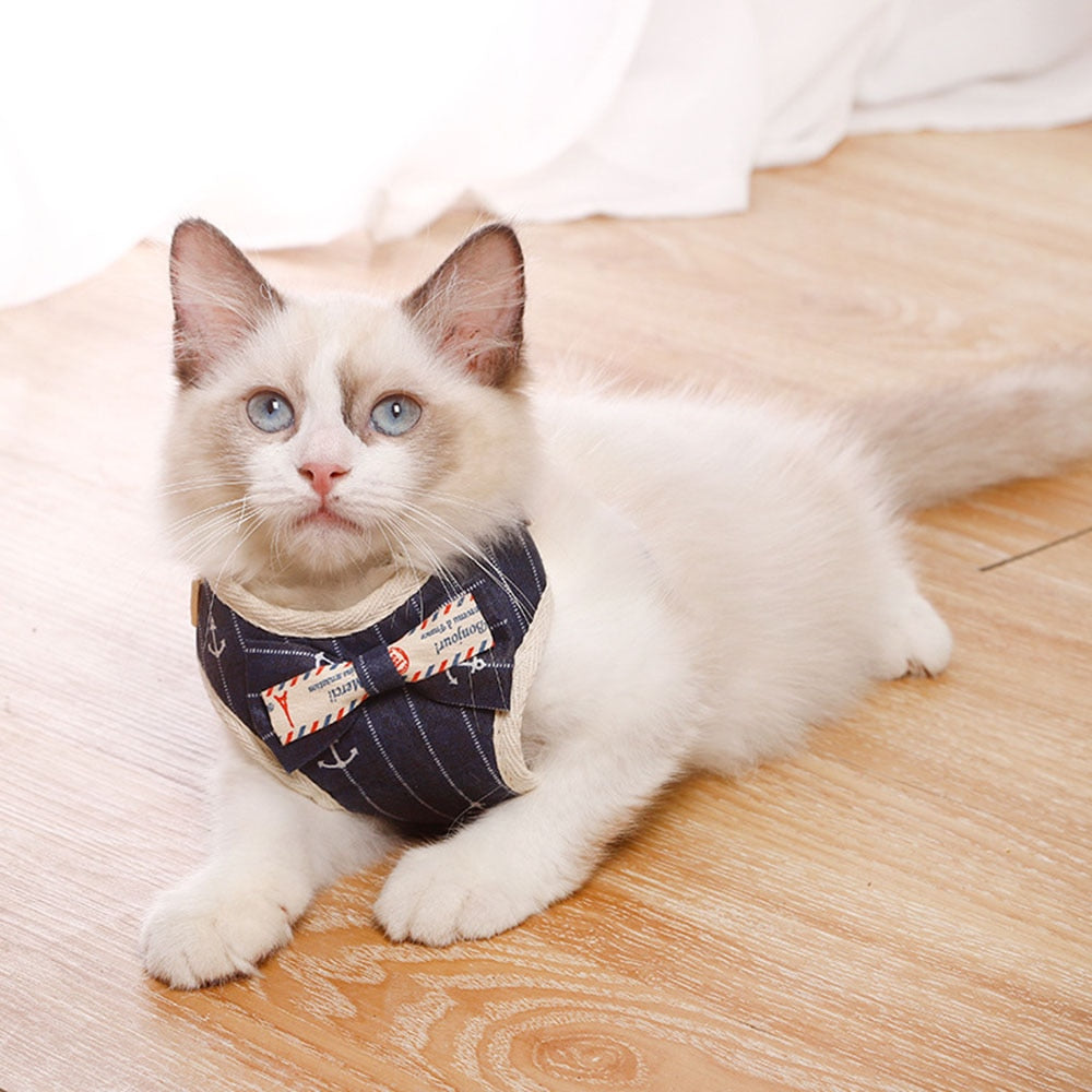 Bowknot Cat Harnesses - cat harness leash