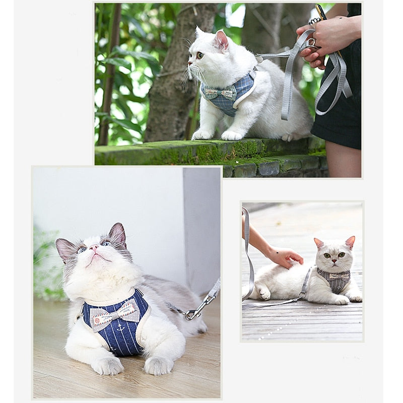 Bowknot Cat Harnesses - cat harness leash