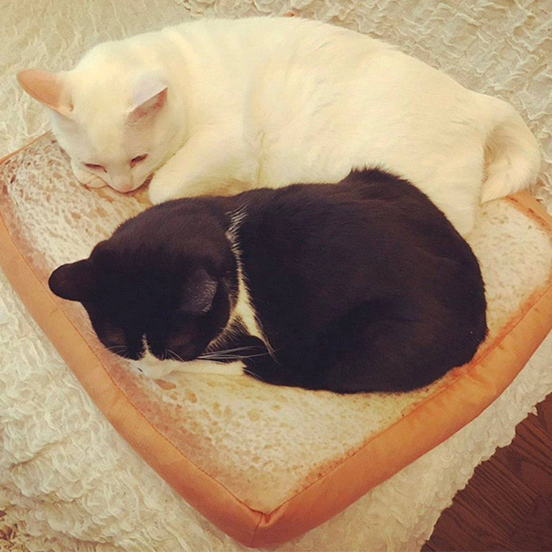 Bread Cat Bed