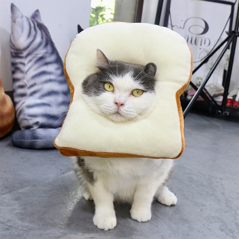 Bread Costume for Cat - White / M / United States