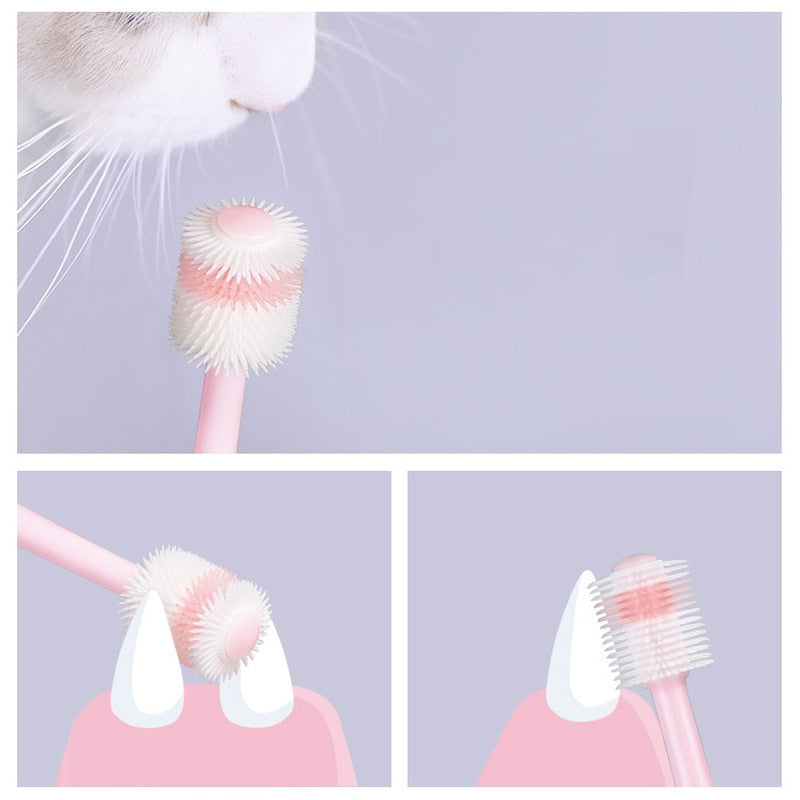 Brush Cat Teeth