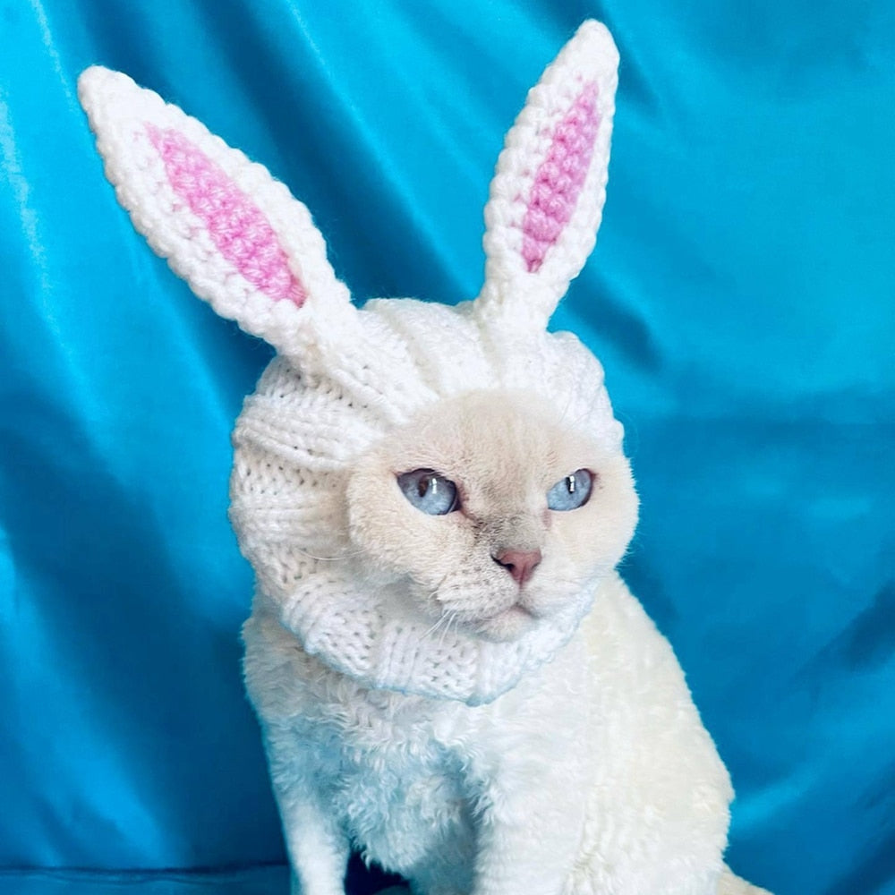 Bunny Hat for Cats - Hat for Cats