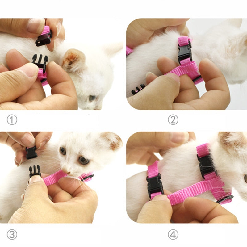 Butterfly Cat Harness - cat harness leash