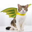 Butterfly Costume for Cat