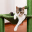 Cactus Hammock Cat Tree - Green / United States
