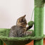 Cactus Hammock Cat Tree - Green / United States
