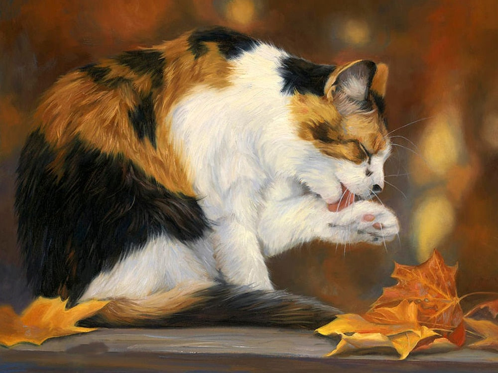 Calico Cat Diamond Painting - White / 30x40cm-Round Drill