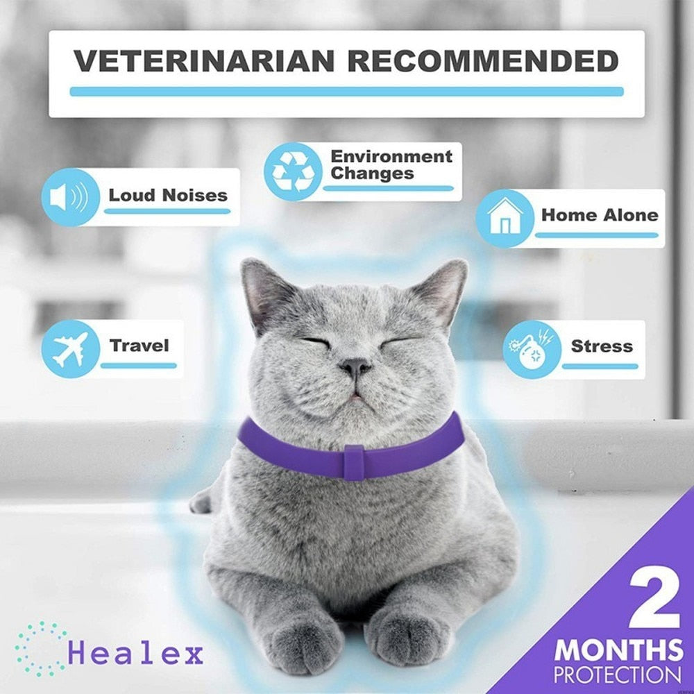 Calming Collars for Cats - Cat collars
