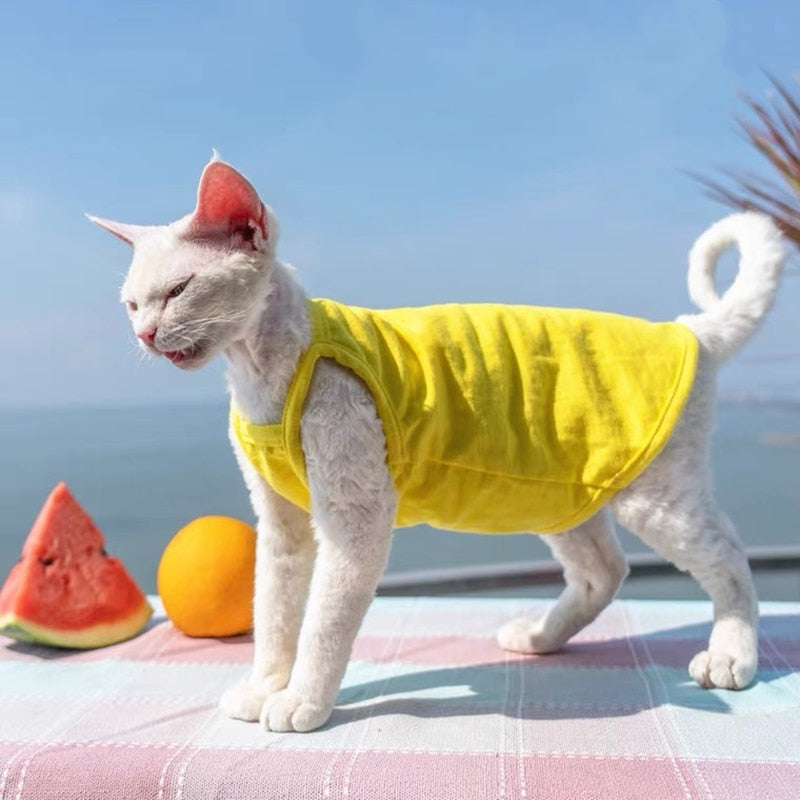 Camisole Clothes for Cats - Yellow / S - Clothes for cats