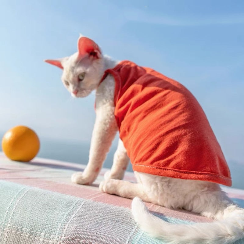Camisole Clothes for Cats - Orange / S - Clothes for cats