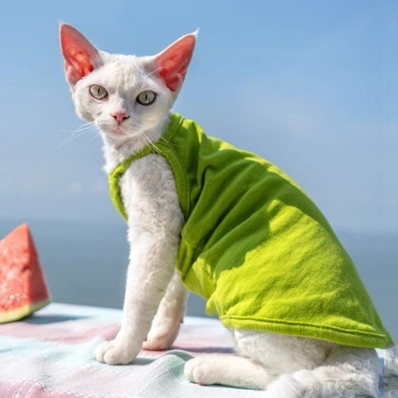Camisole Clothes for Cats - Green / S - Clothes for cats