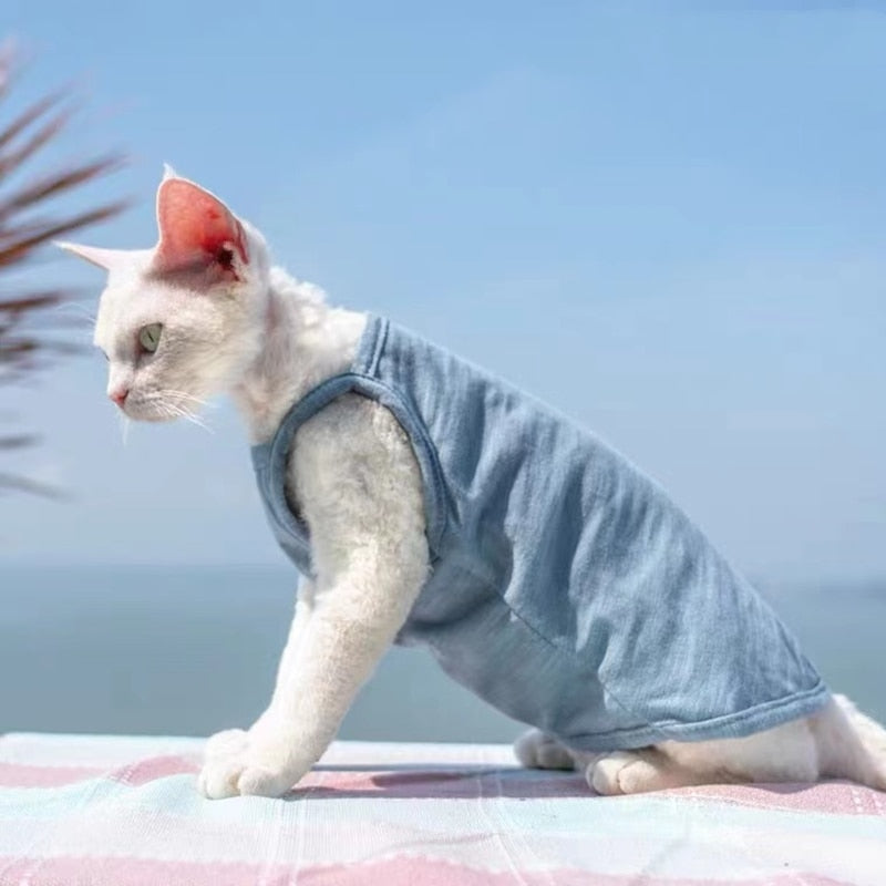 Camisole Clothes for Cats - Blue / S - Clothes for cats