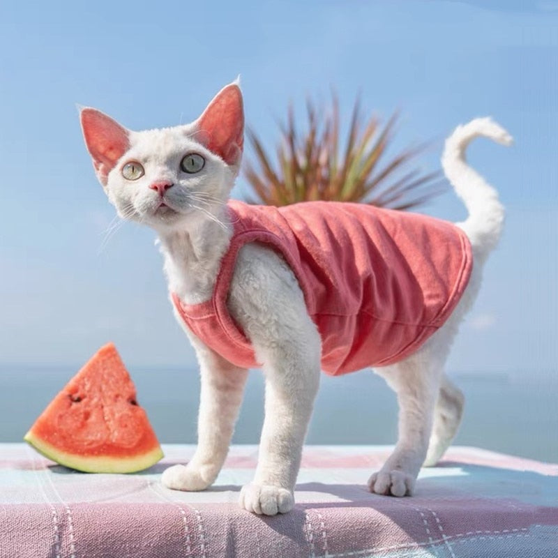 Camisole Clothes for Cats - Watermelon Pink / S - Clothes