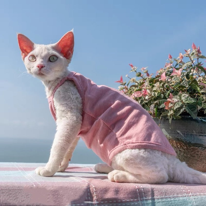 Camisole Clothes for Cats - Pink / S - Clothes for cats