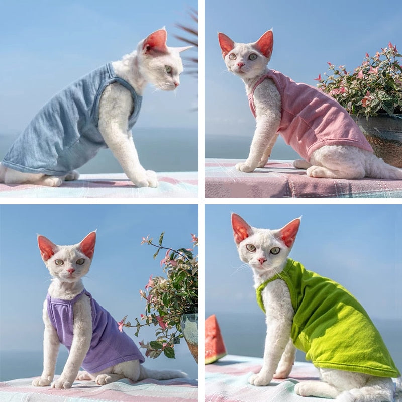 Camisole Clothes for Cats - Clothes for cats