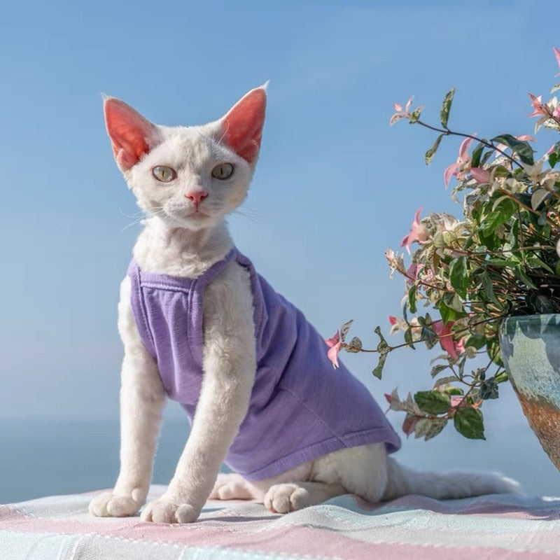 Camisole Clothes for Cats - Purple / S - Clothes for cats