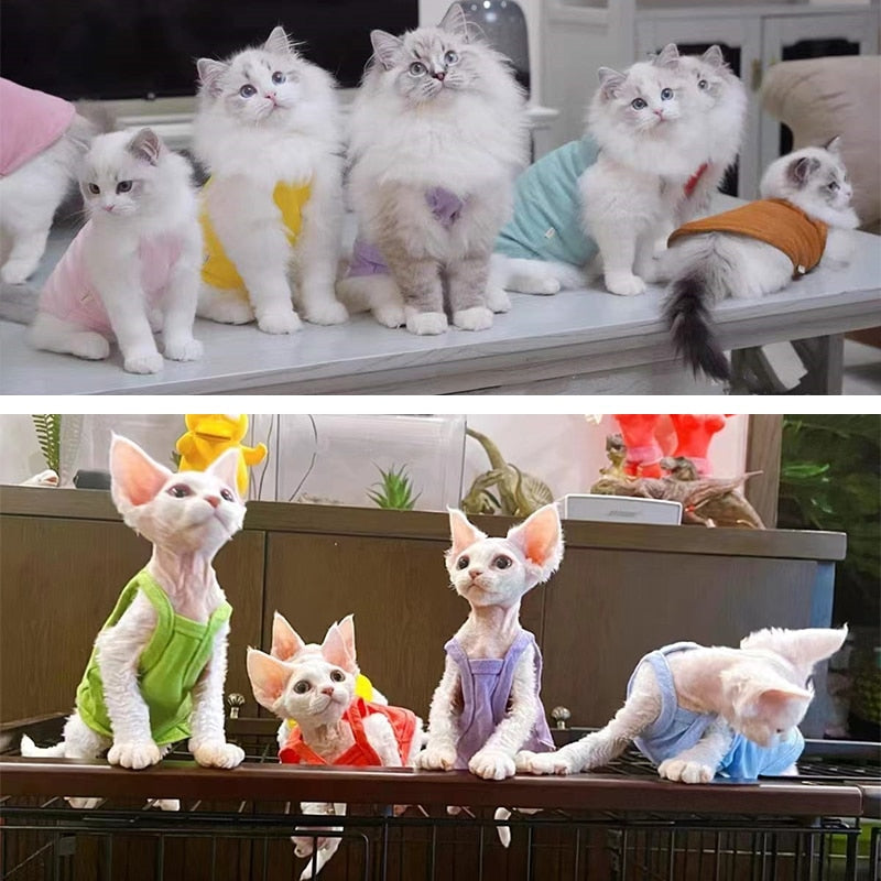 Camisole Clothes for Cats - Clothes for cats