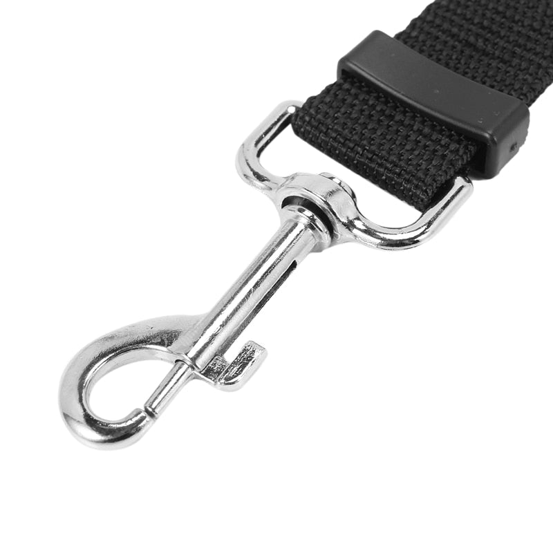 Car Cat Harness - cat harness leash