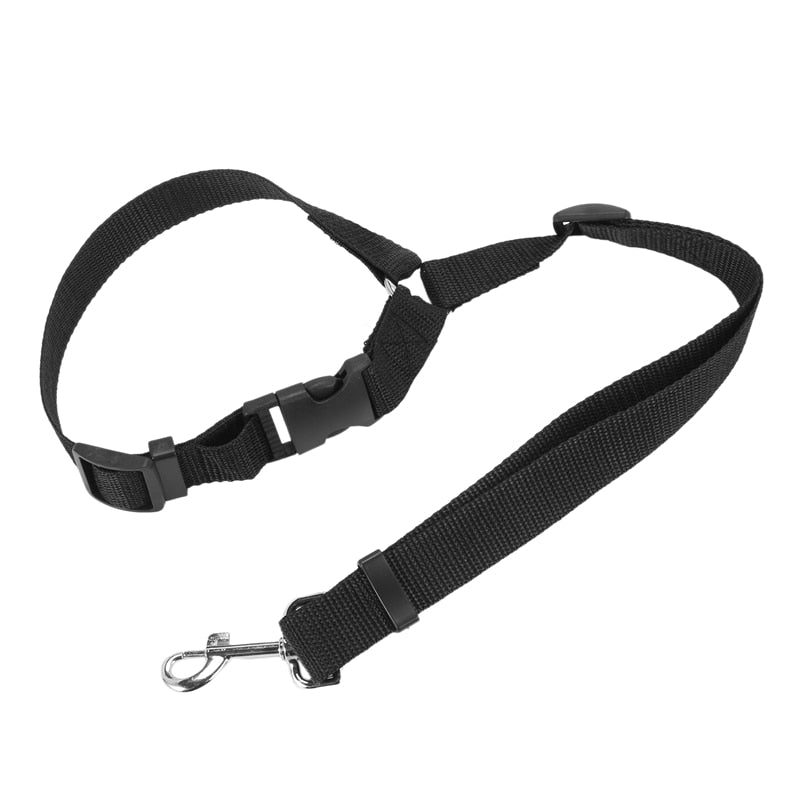 Car Cat Harness - cat harness leash