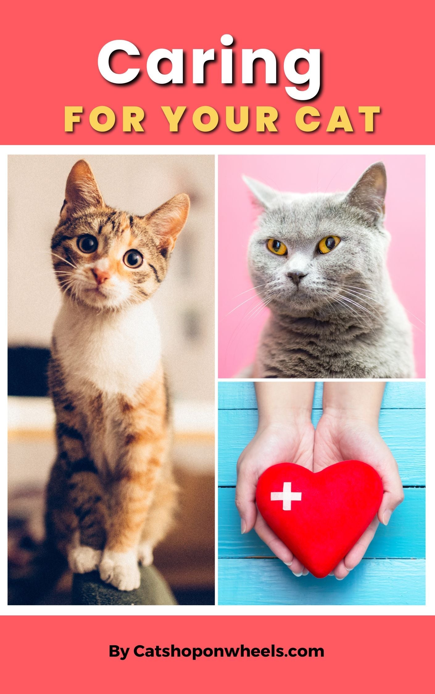 Caring for your cats-book