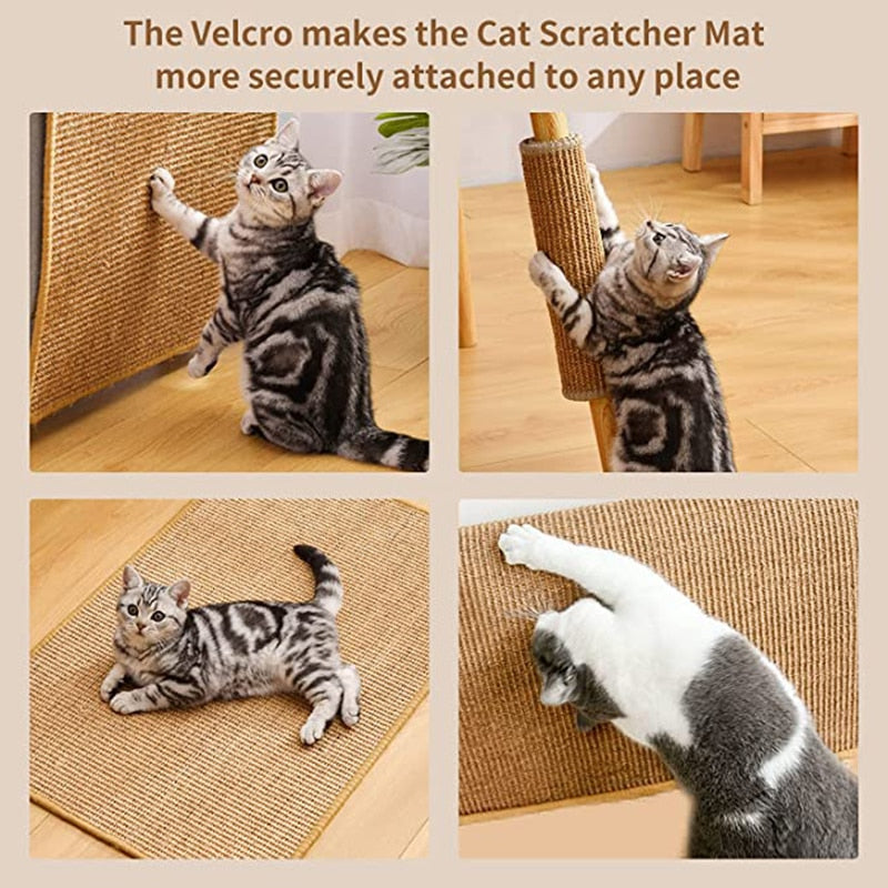 Carpet Cat Scratching Post - Cat scratching post