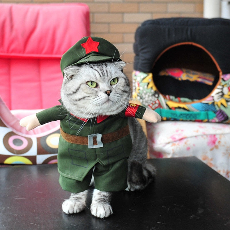 Cat Army Costumes for Kittens