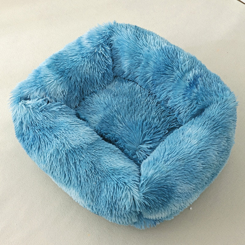 Cat Box Bed - Dazzling Blue / 43x35x20cm / United States