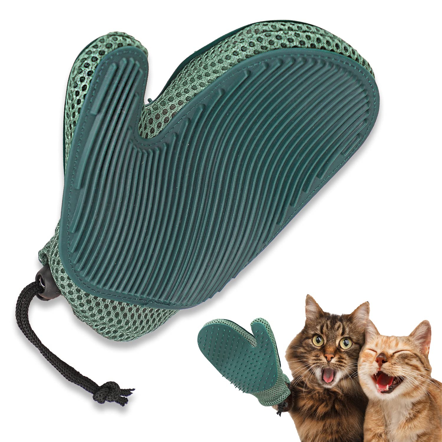 Brush mitt for outlet cats