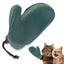 Cat Brush Glove - Blue