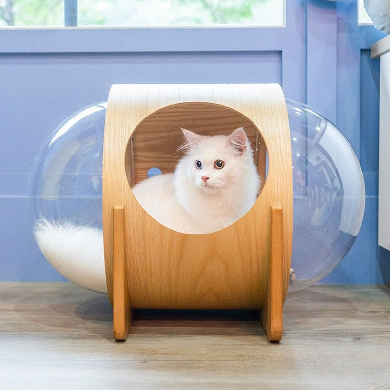 Cat deals bubble bed