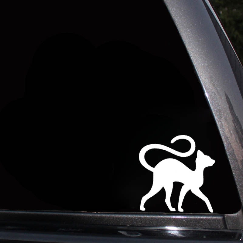 Cat Bumper Stickers
