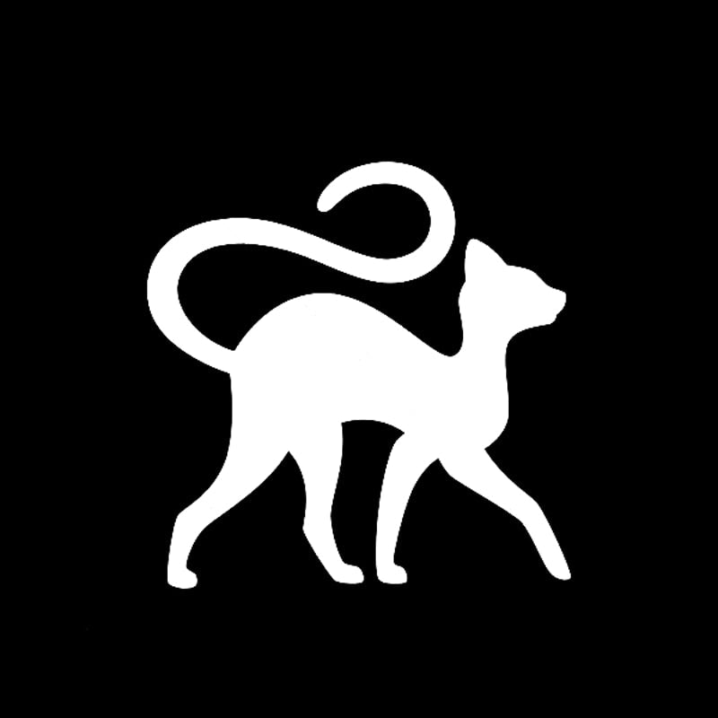 Cat Bumper Stickers - Silver