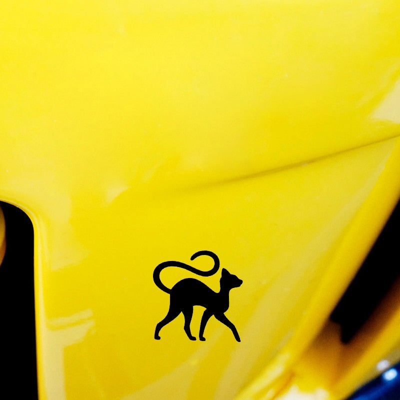 Cat Bumper Stickers