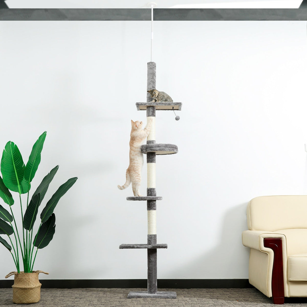 Cat Climber Tree