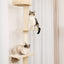 Cat Climber Tree