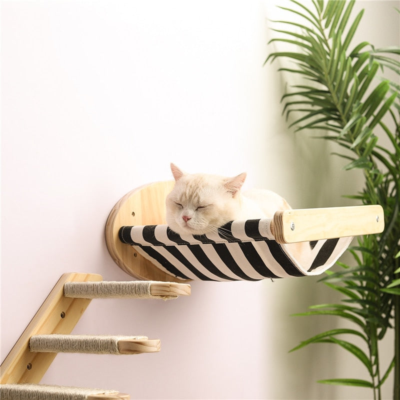 Cat Climbing Wall Platform