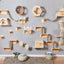 Cat Climbing Wall Platform
