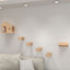 Cat Climbing Wall Platform