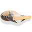 Cat Climbing Wall Platform - A cat hammock
