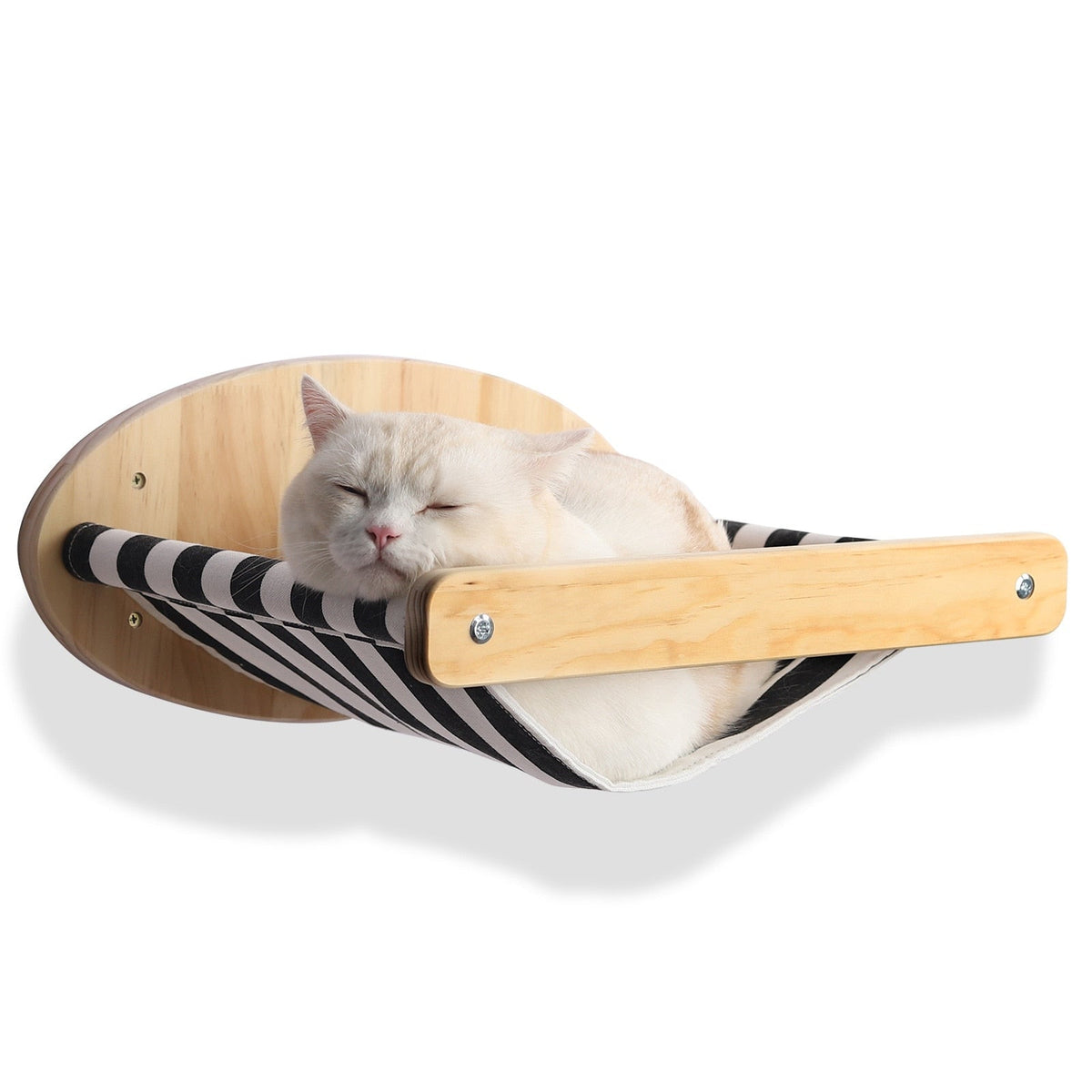 Cat Climbing Wall Platform - A cat hammock