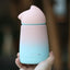 Cat Cute Paste Thermos