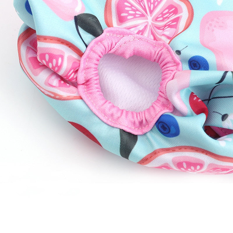 Cat Diaper - Underwear for Cats