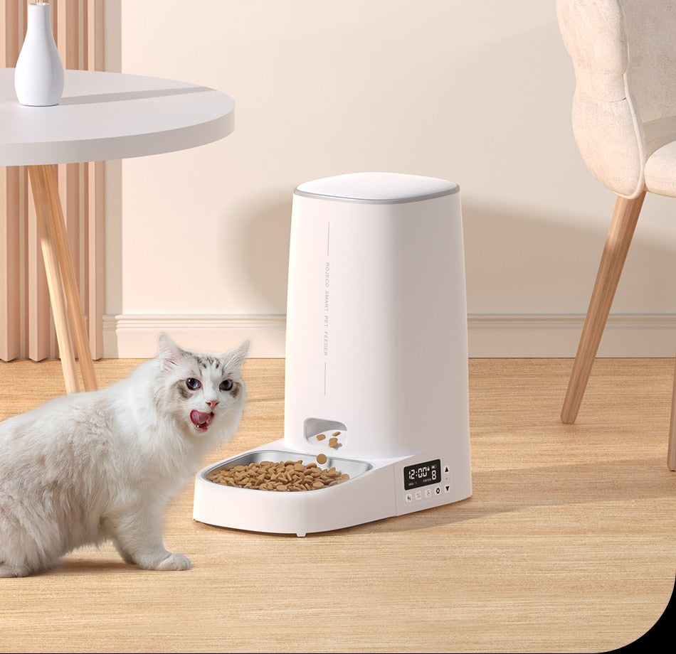 Cat Food Automatic Dispenser - automatic cat food dispenser